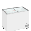 IC301SC